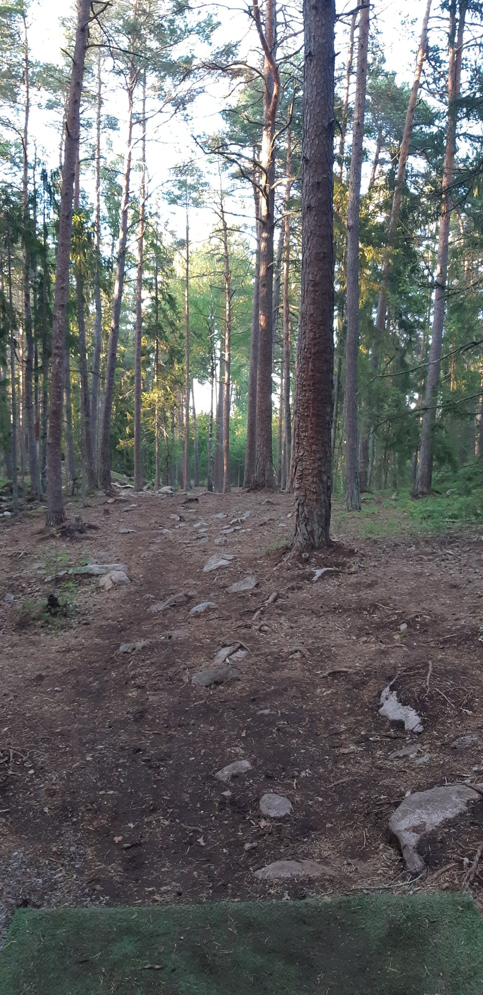 Hole 8