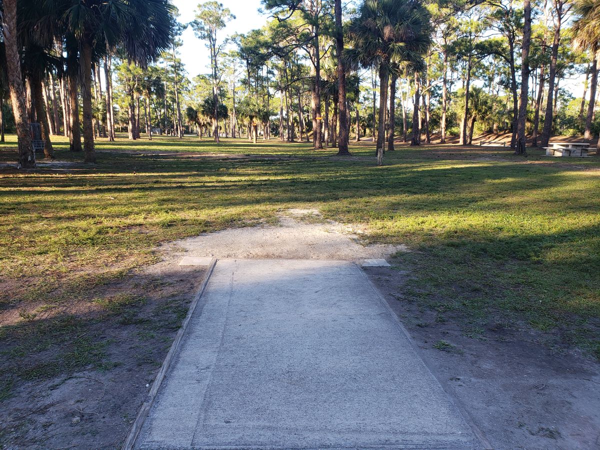 Tee pad 6