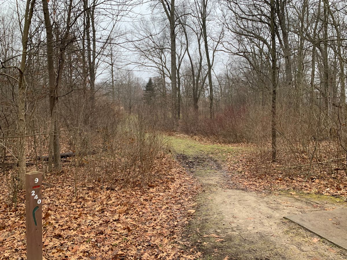 Hole 9