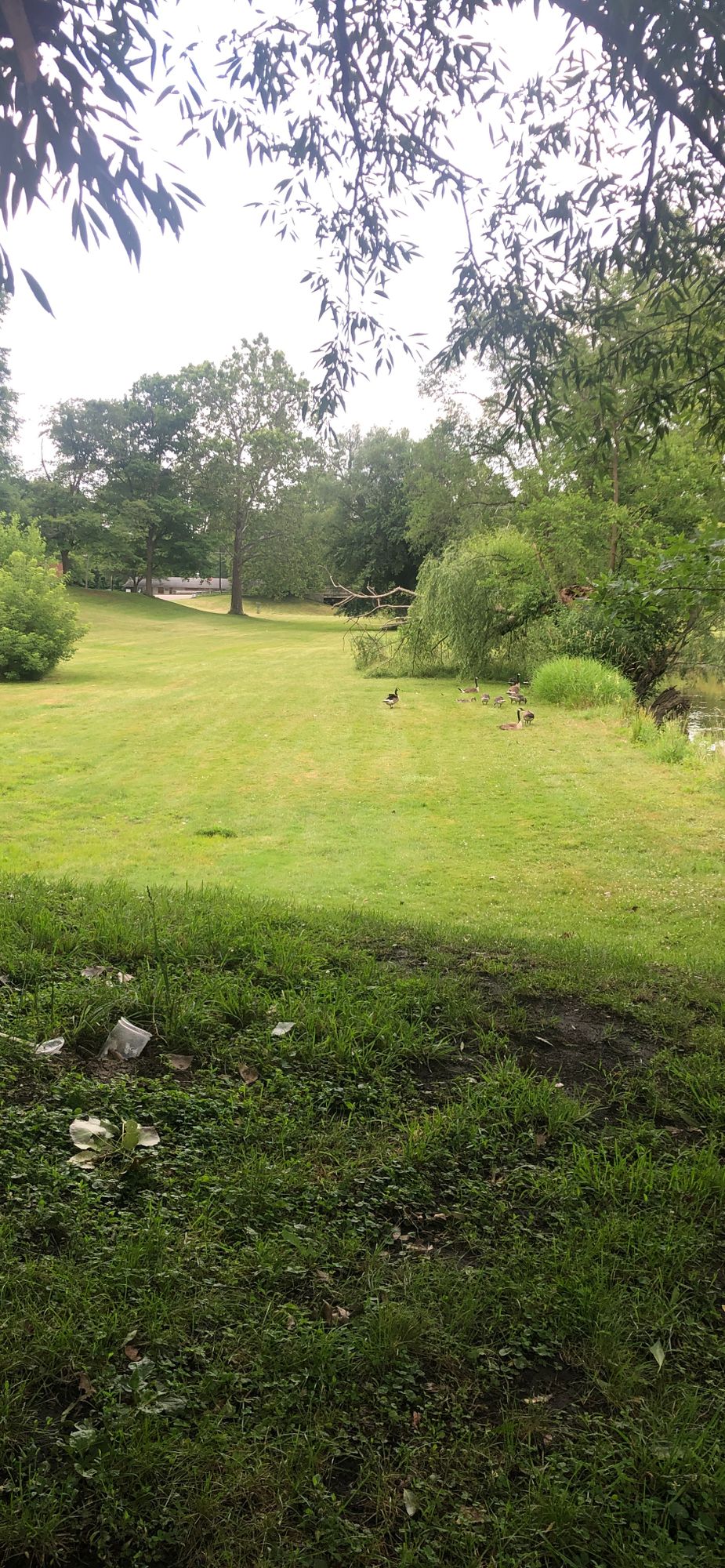 Hole 5