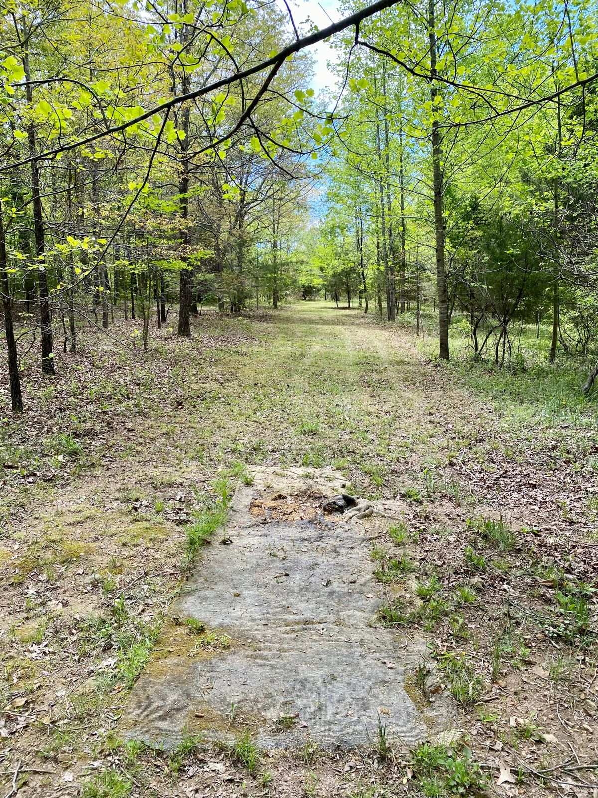 Hole 12