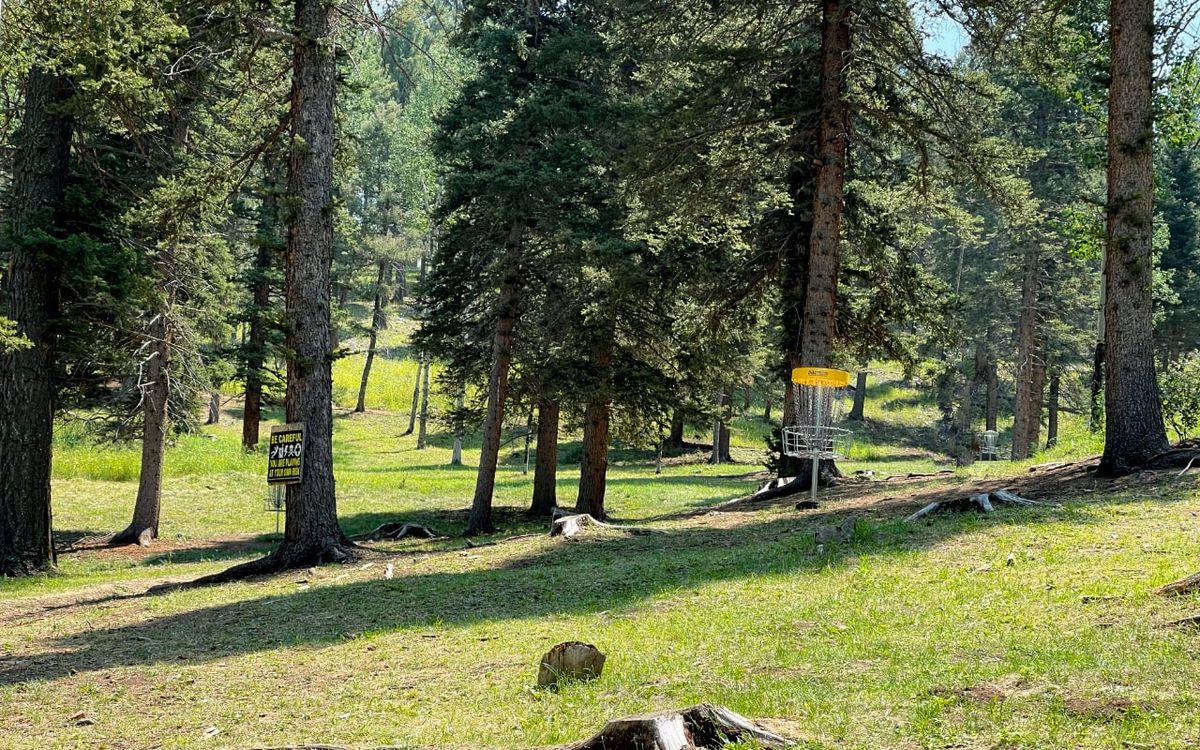 Hole 1 Gold Position
