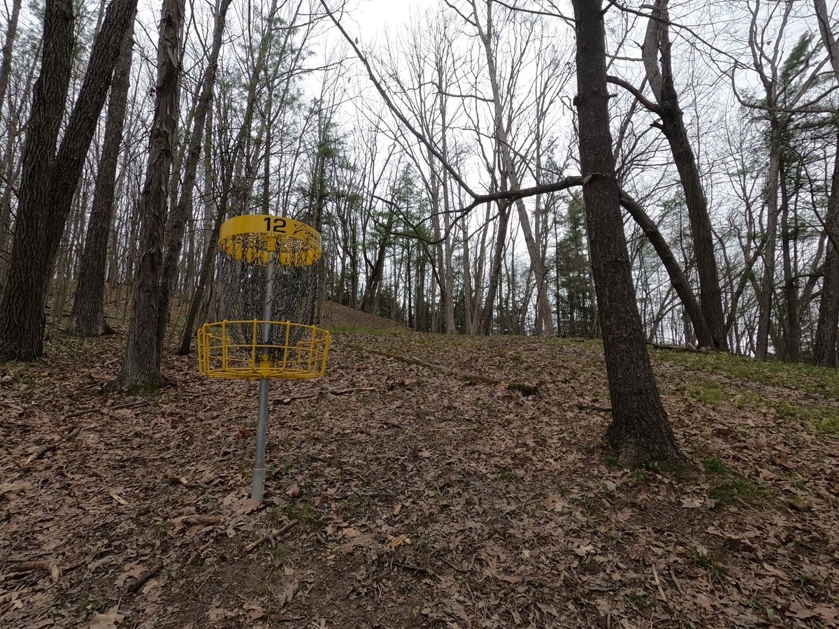 Hole #12 Basket