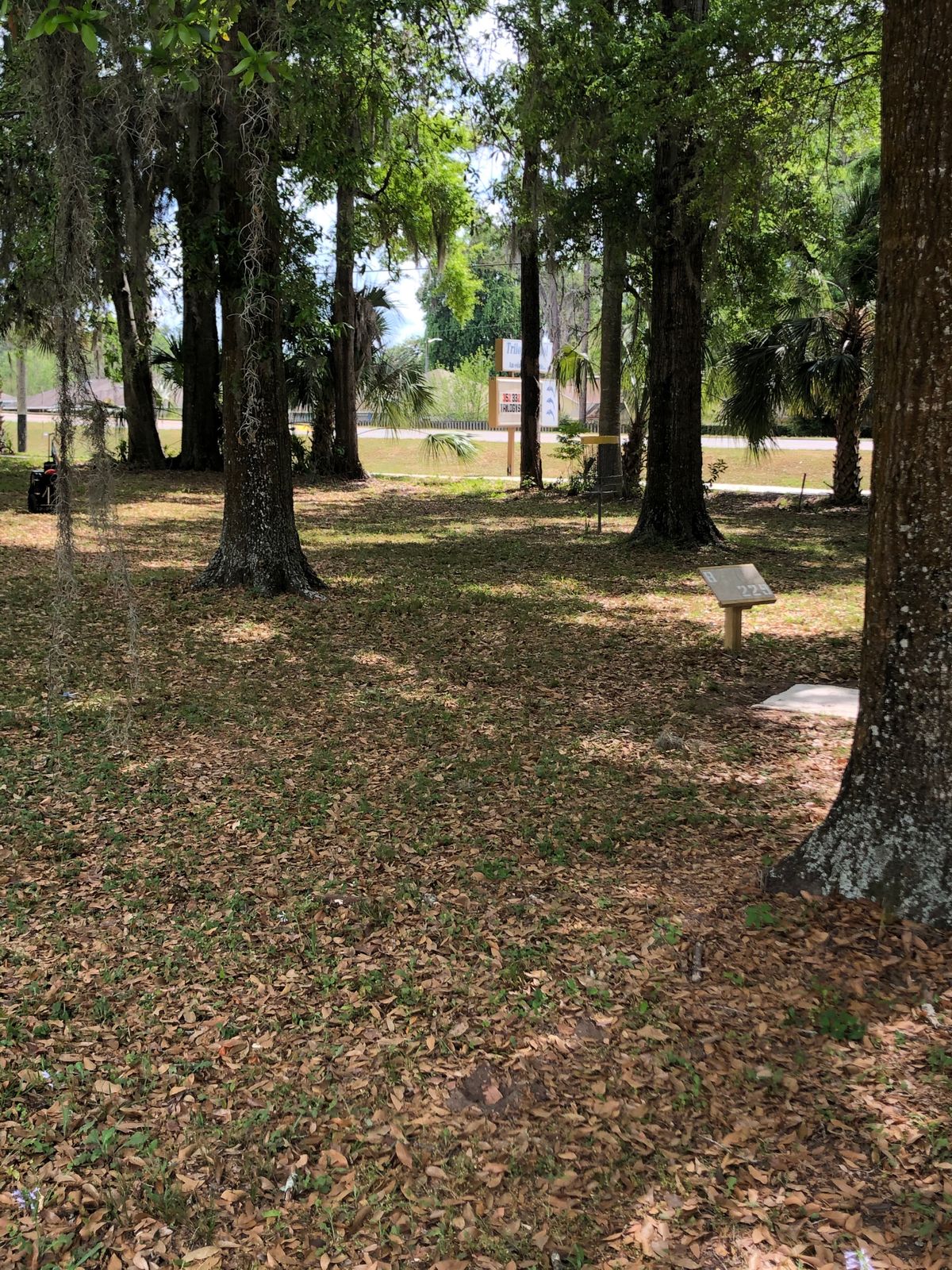 Hole 7, approach
