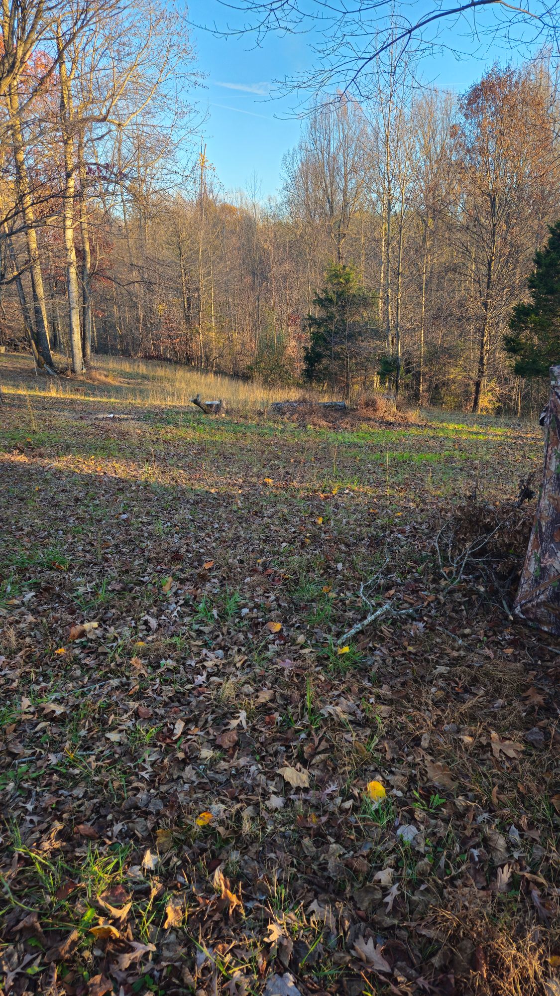 Hole 4