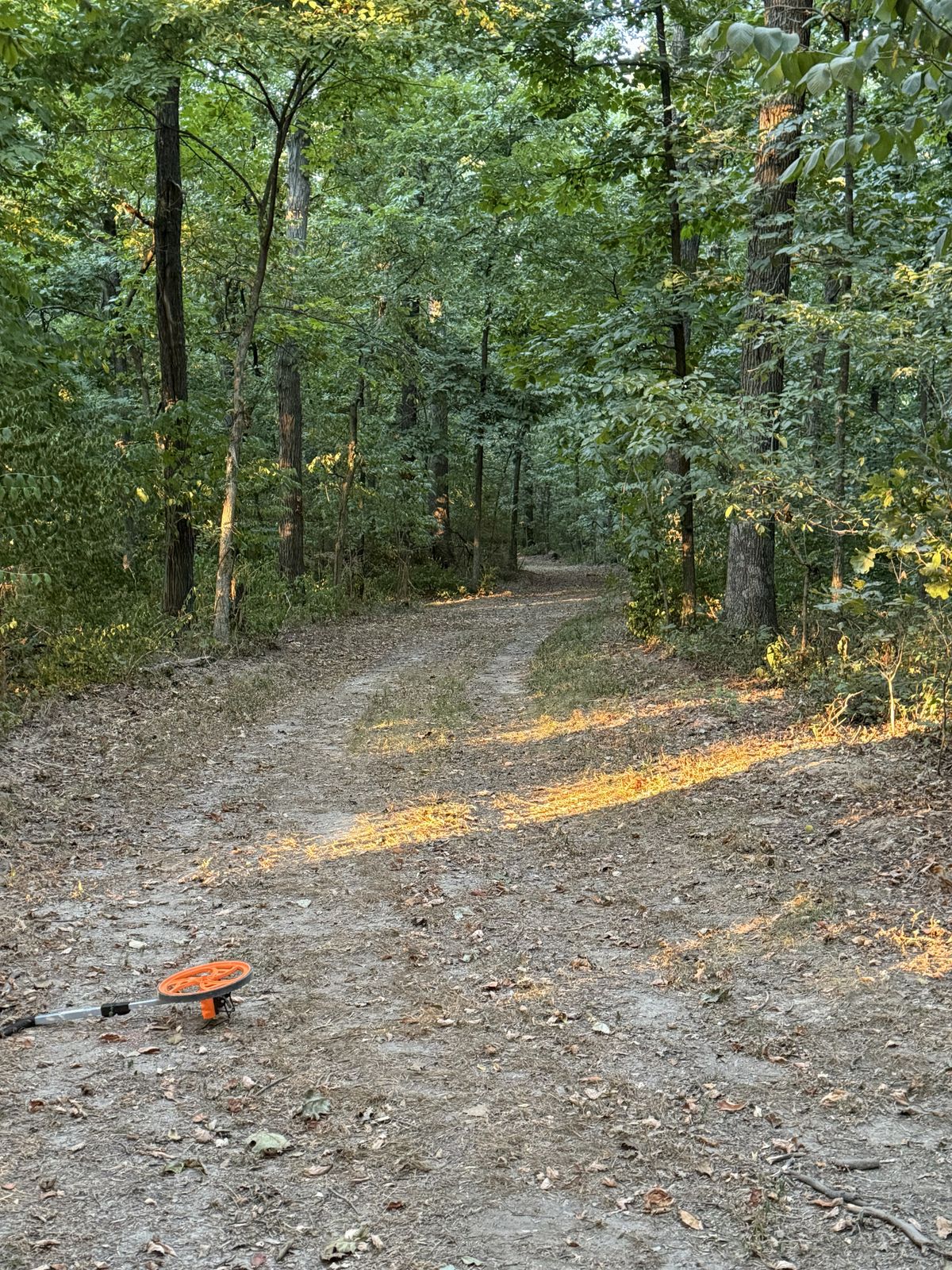 Hole 12 from White Tee