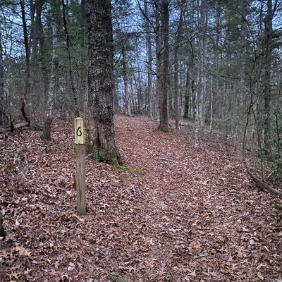 Tee box of hole 6