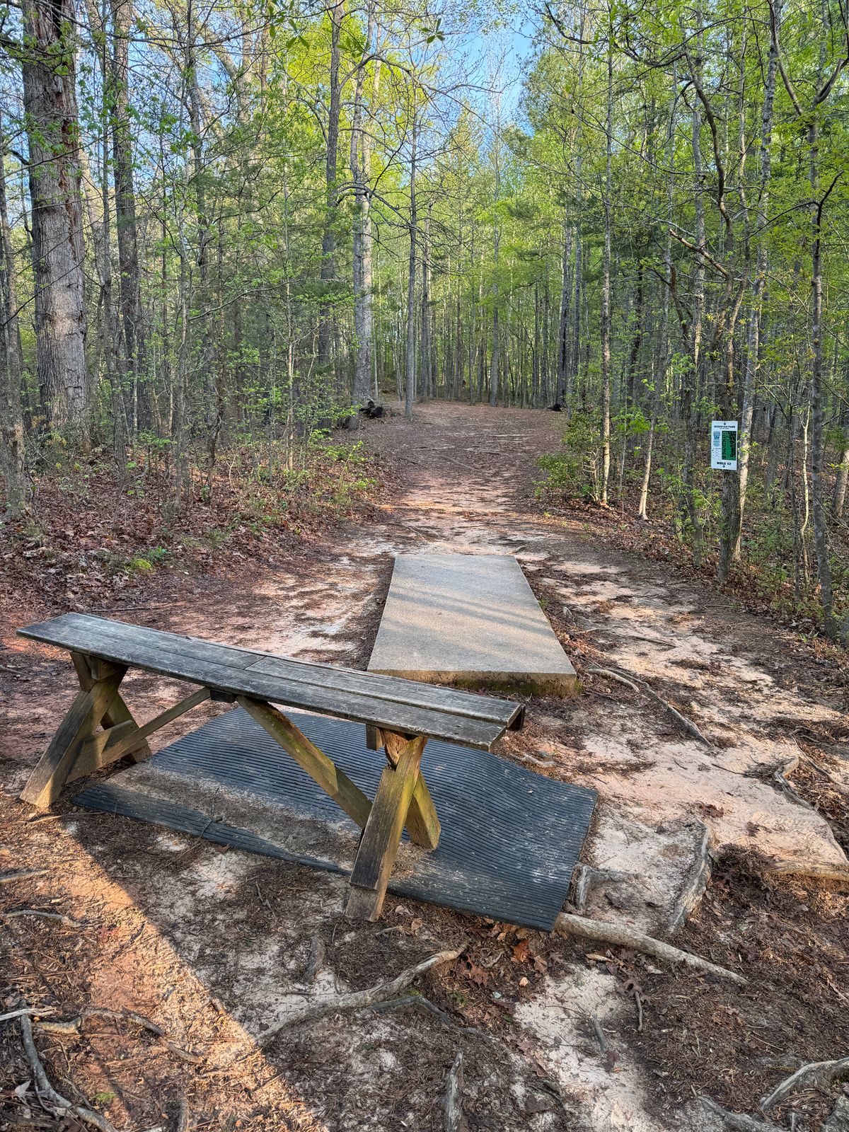 Hole 12
