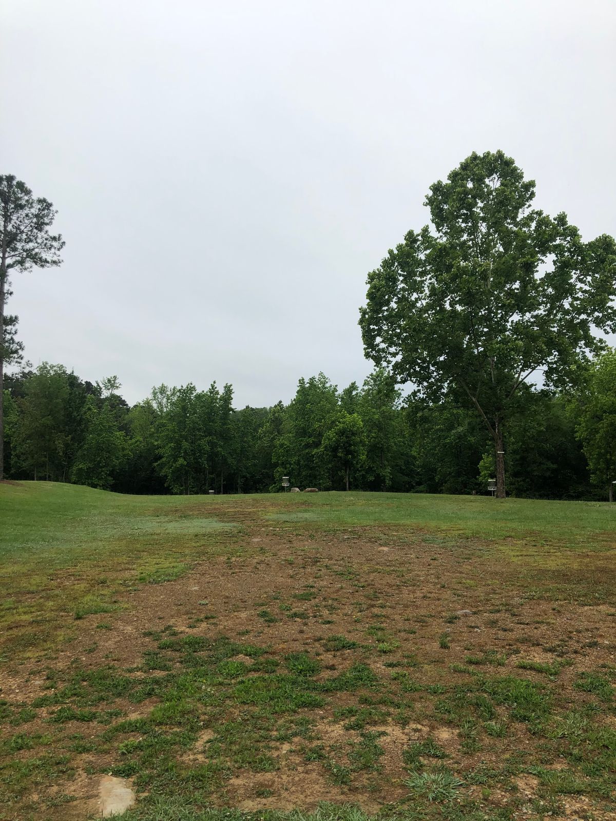 Hole 8