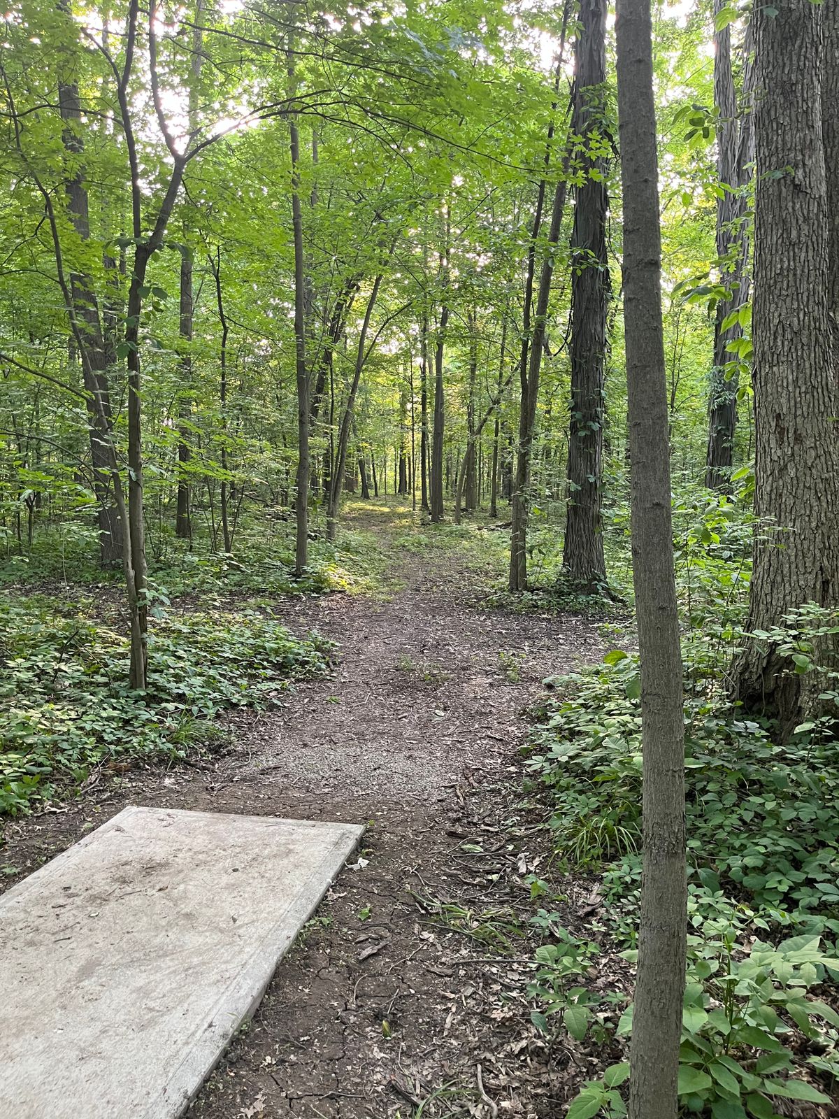 Hole 4