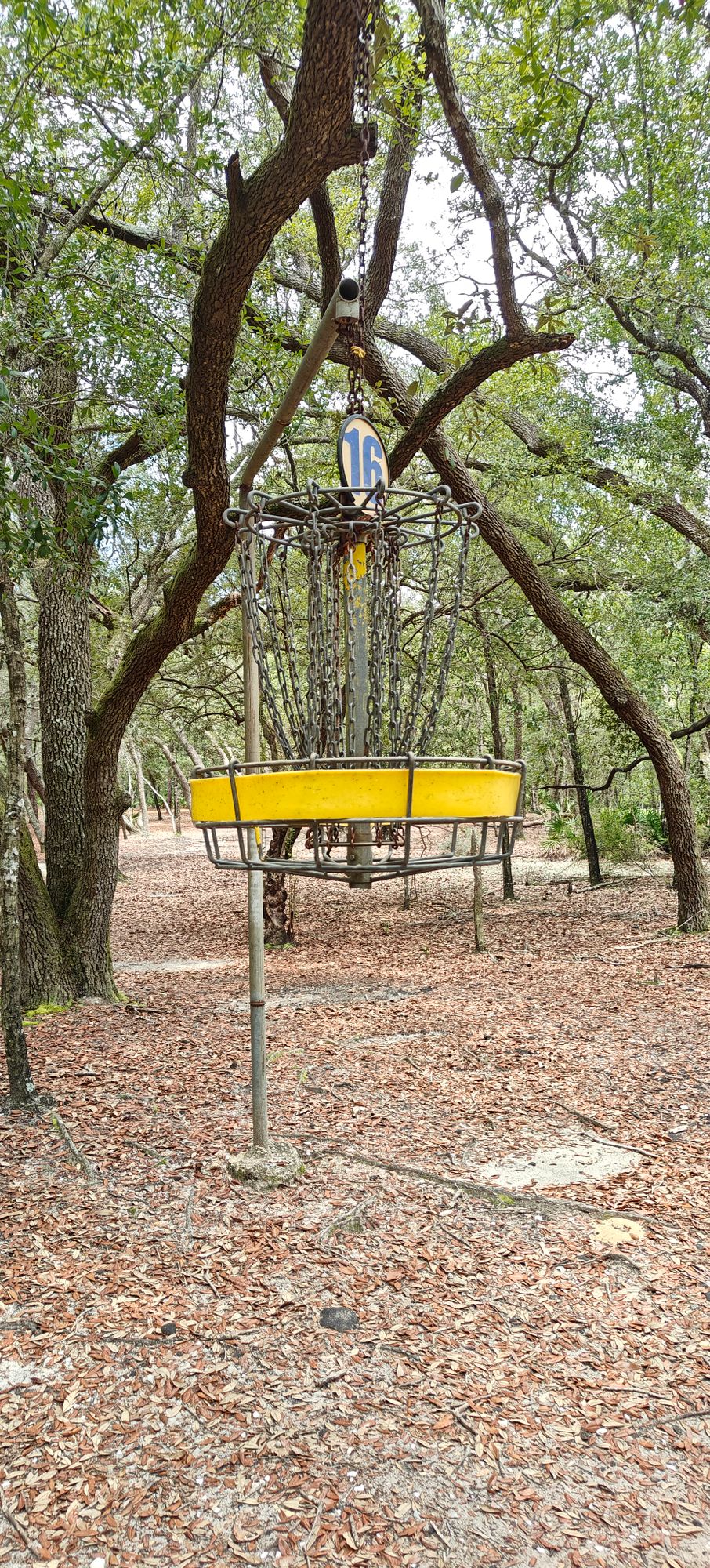 Hole 16 hanging basket like a bird cage
