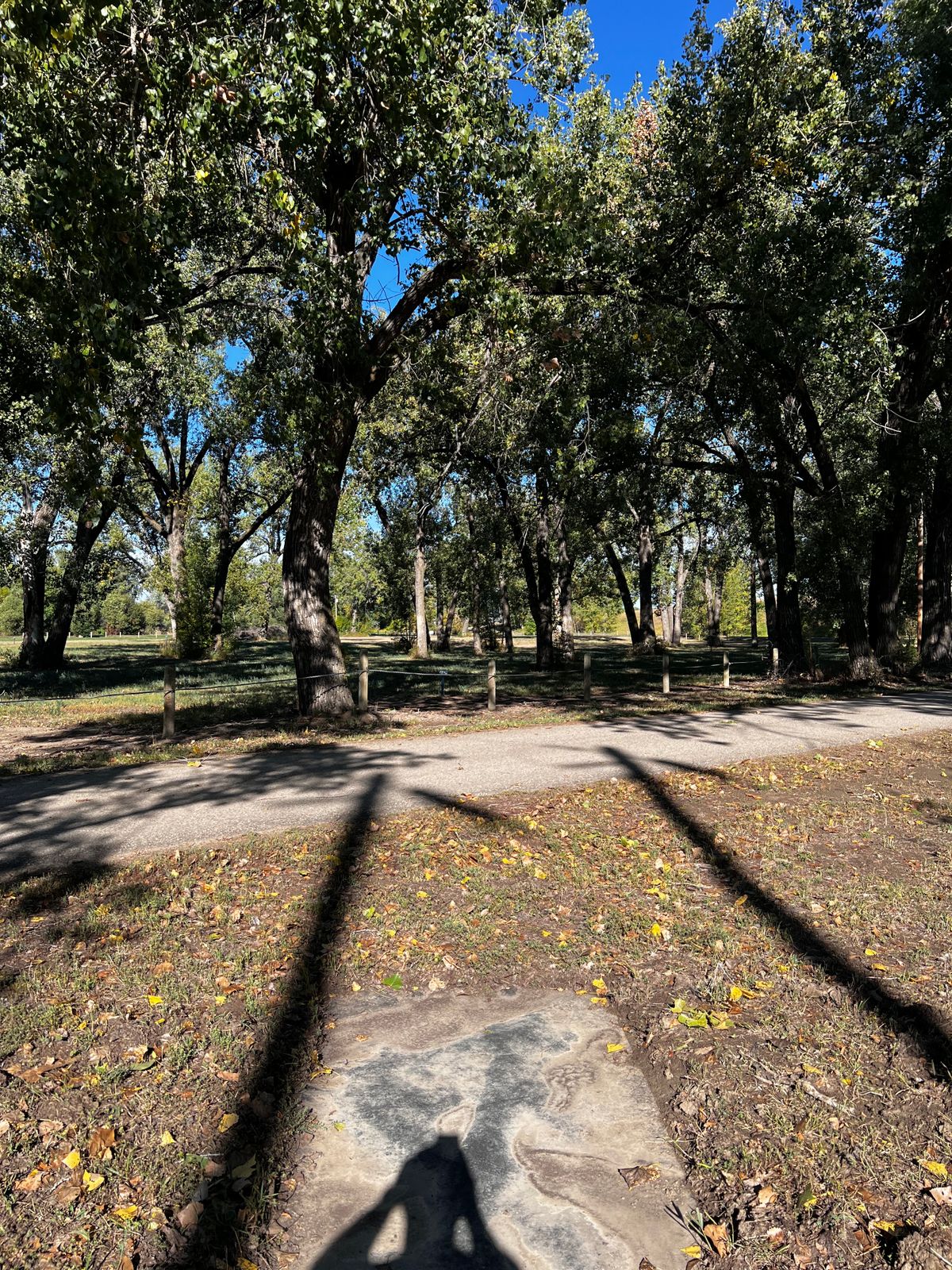 Tee 13