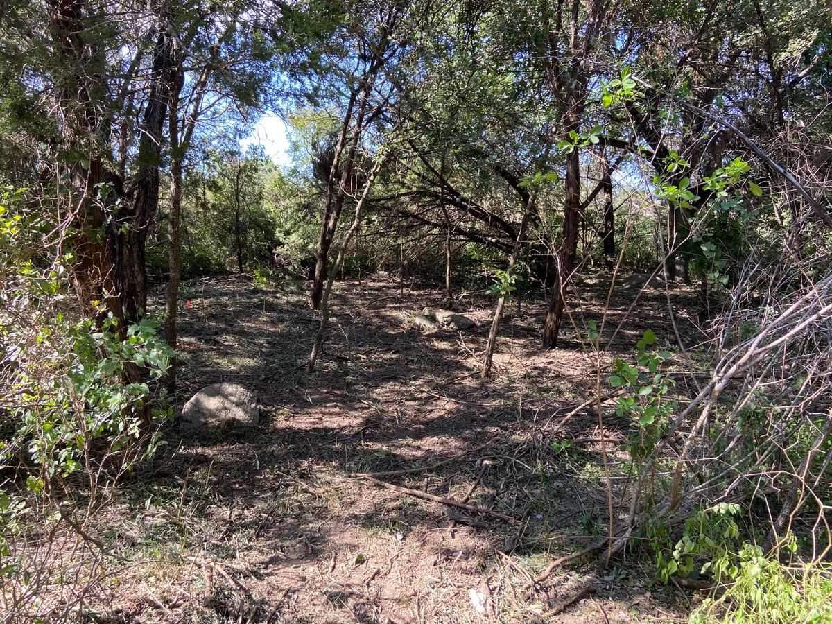 New hole 15 basket