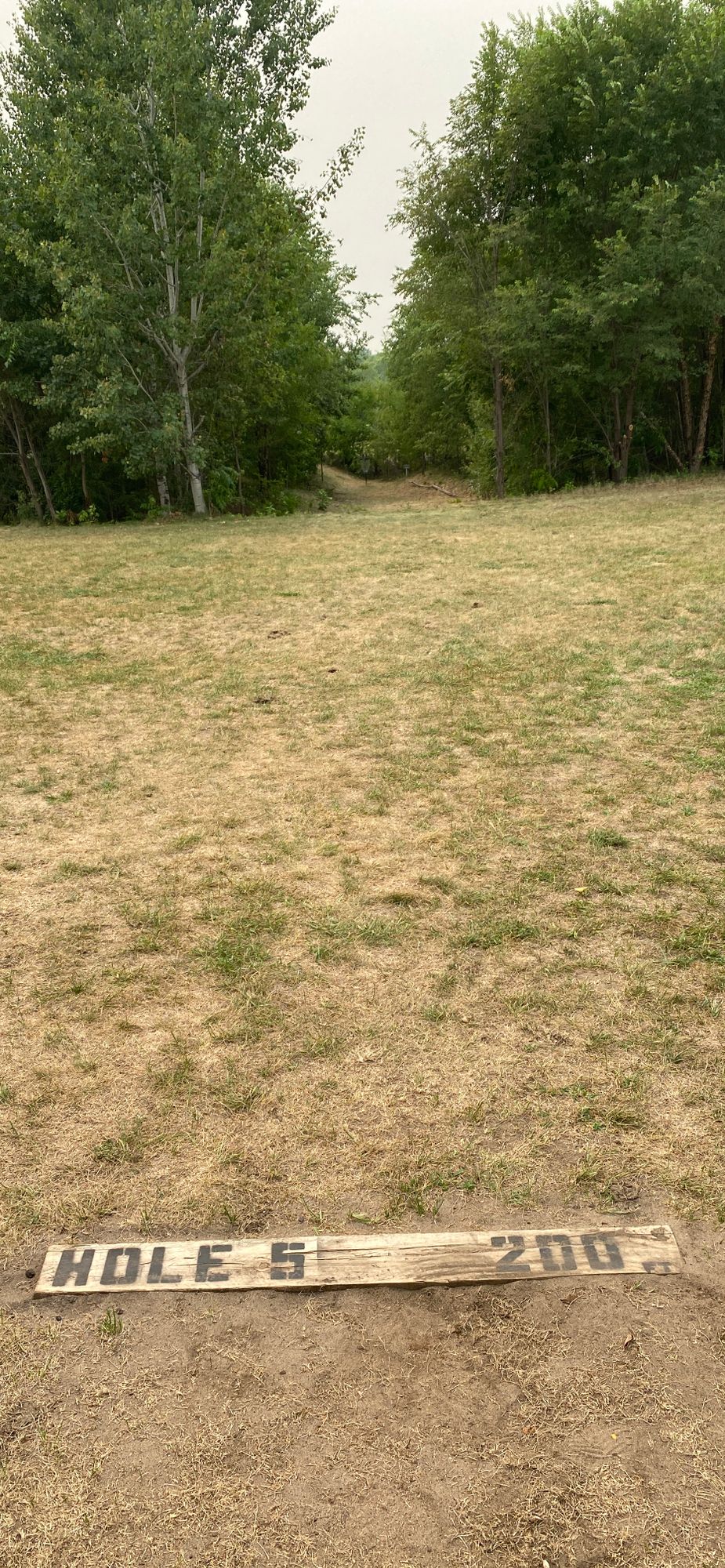 Hole 5 tee