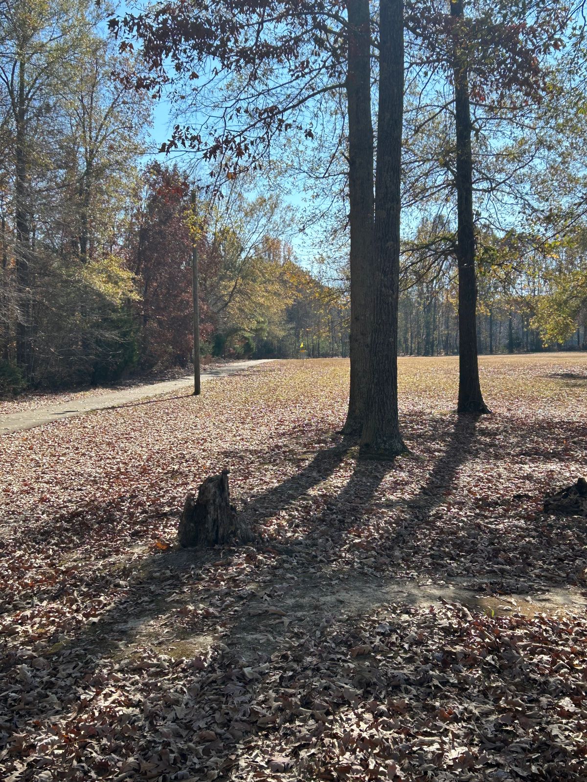 Hole 5 basket