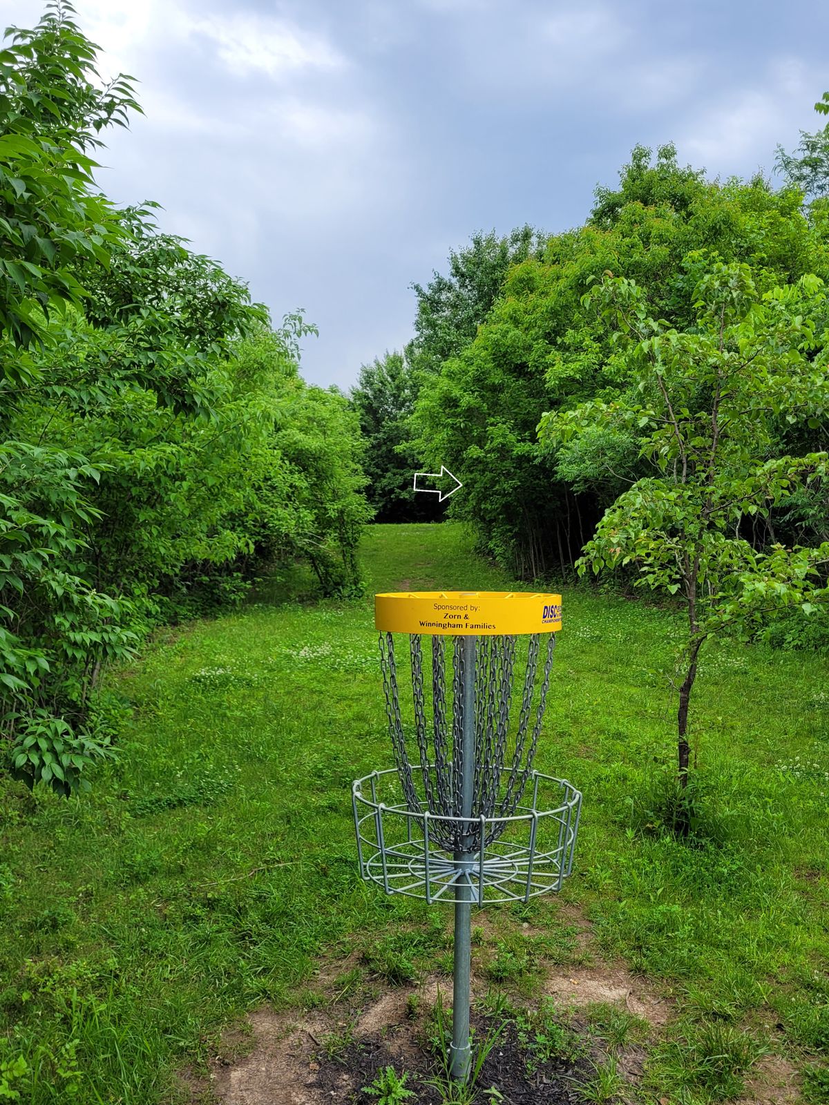 Hole 13 main basket to tee