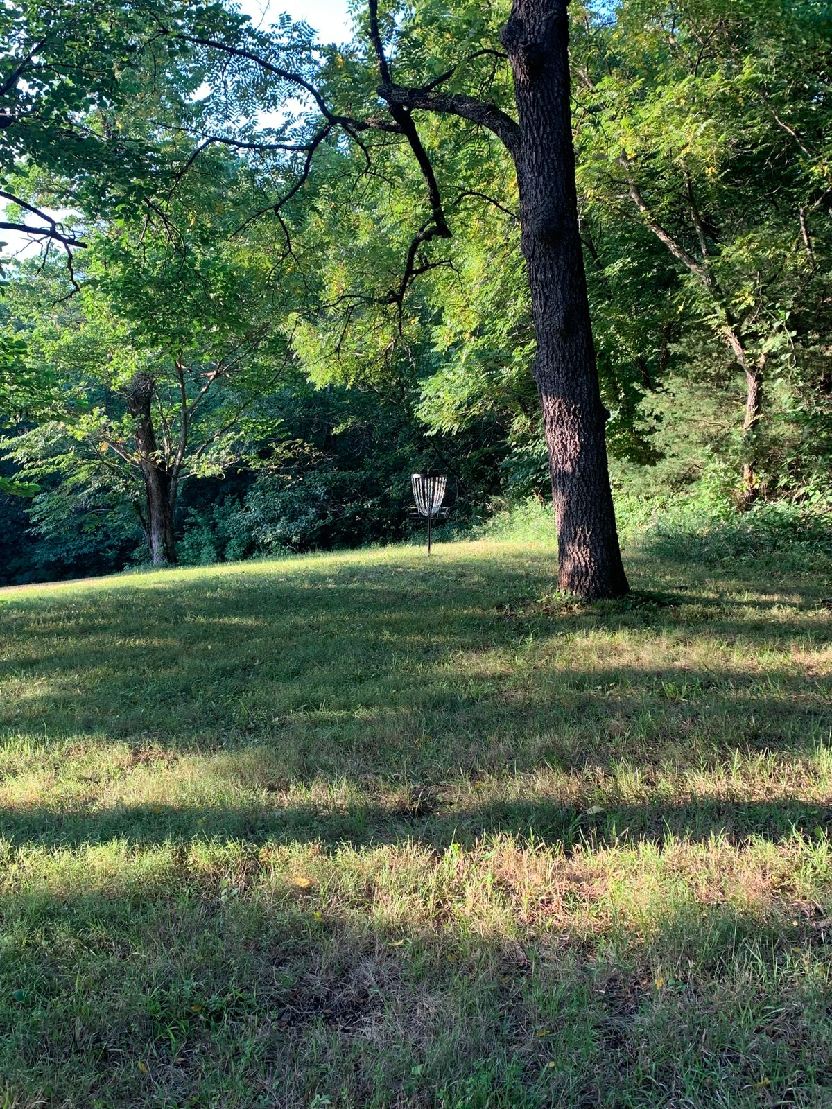 Secluded on 8