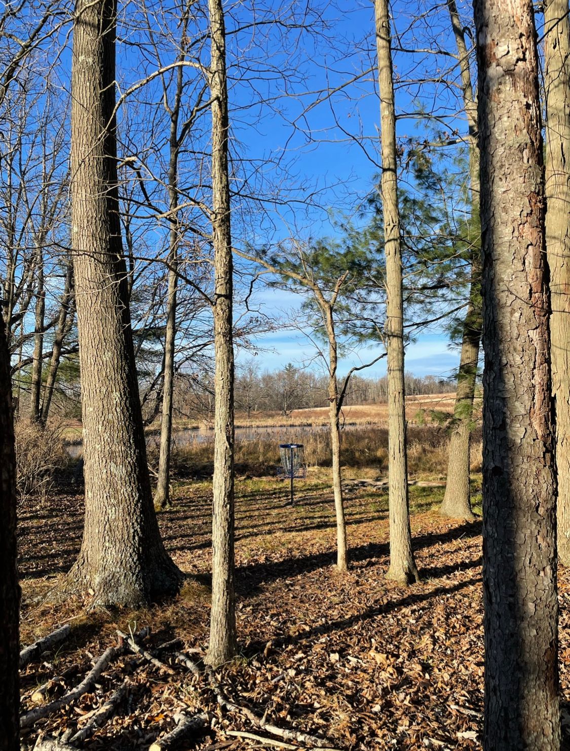Hole 11 (aka fishing basket)