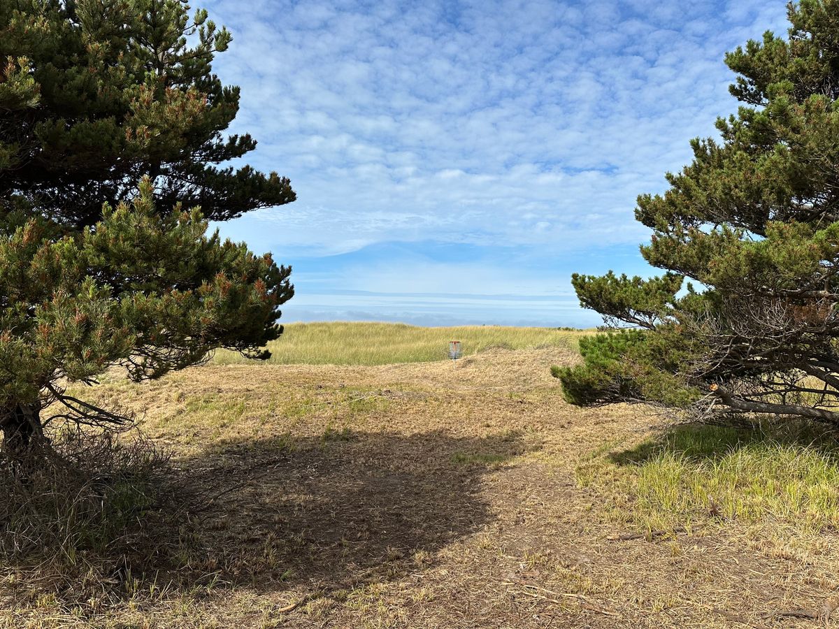 Hole 5 basket