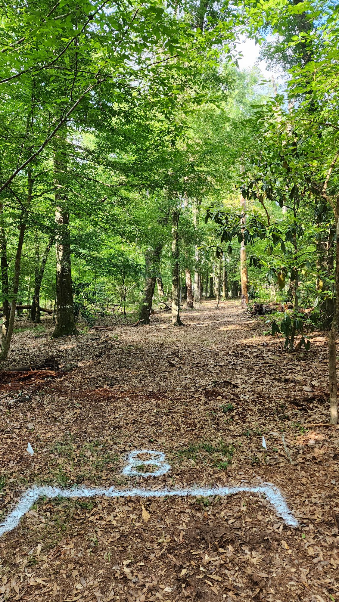 Hole 8 274'