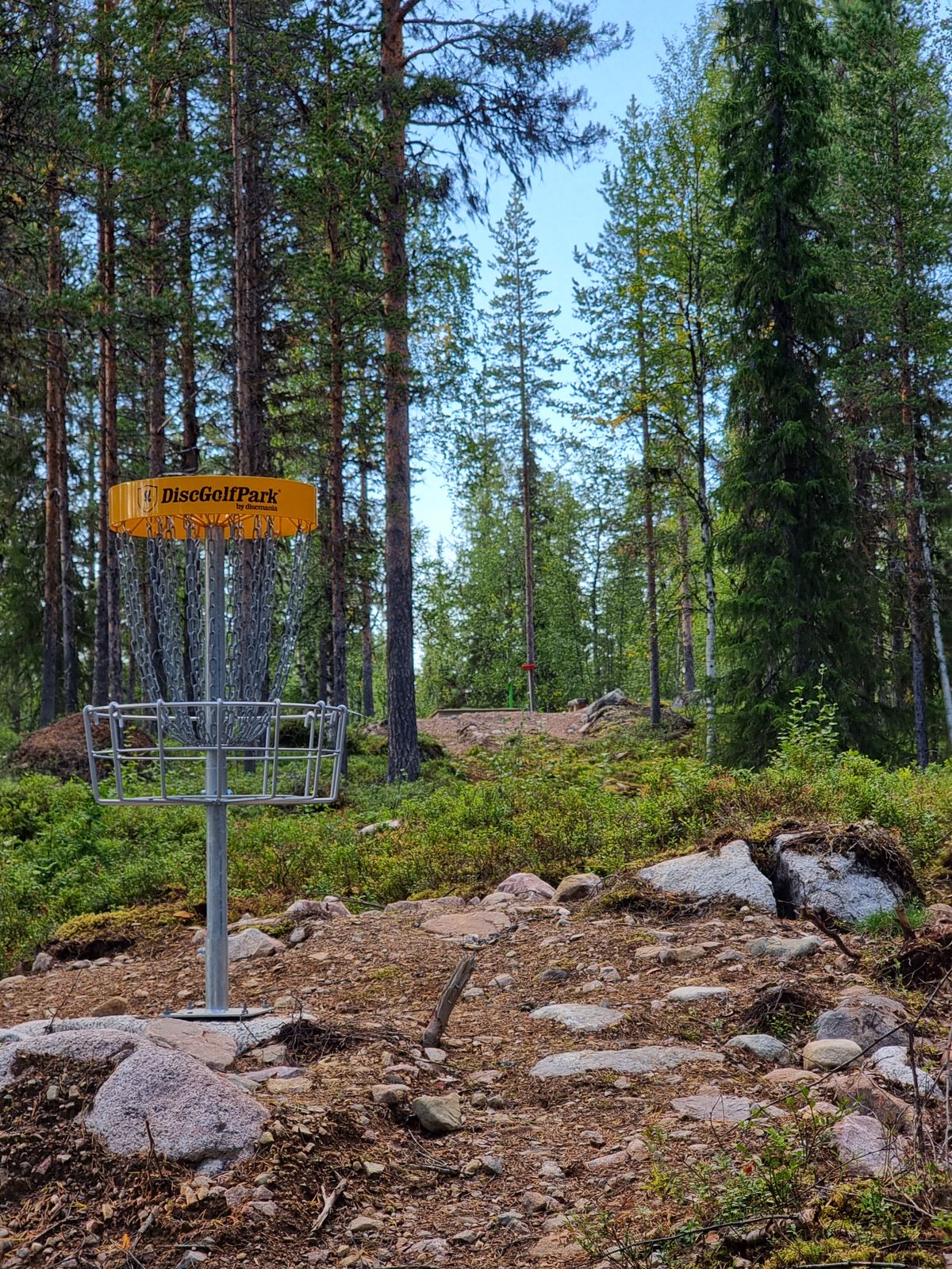 Korg 13 med vy mot tee