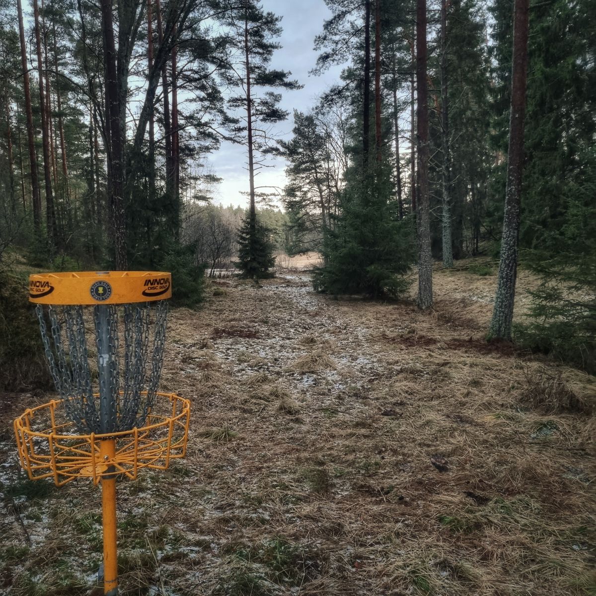 Blickar bakåt mot tee från korgen vid hål 8