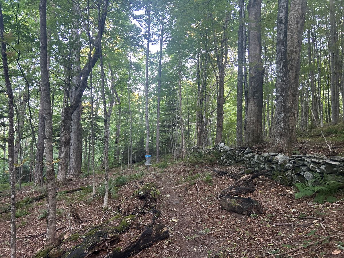 Hole 11 green