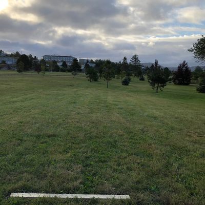 Hole 2 throws from flat ground
