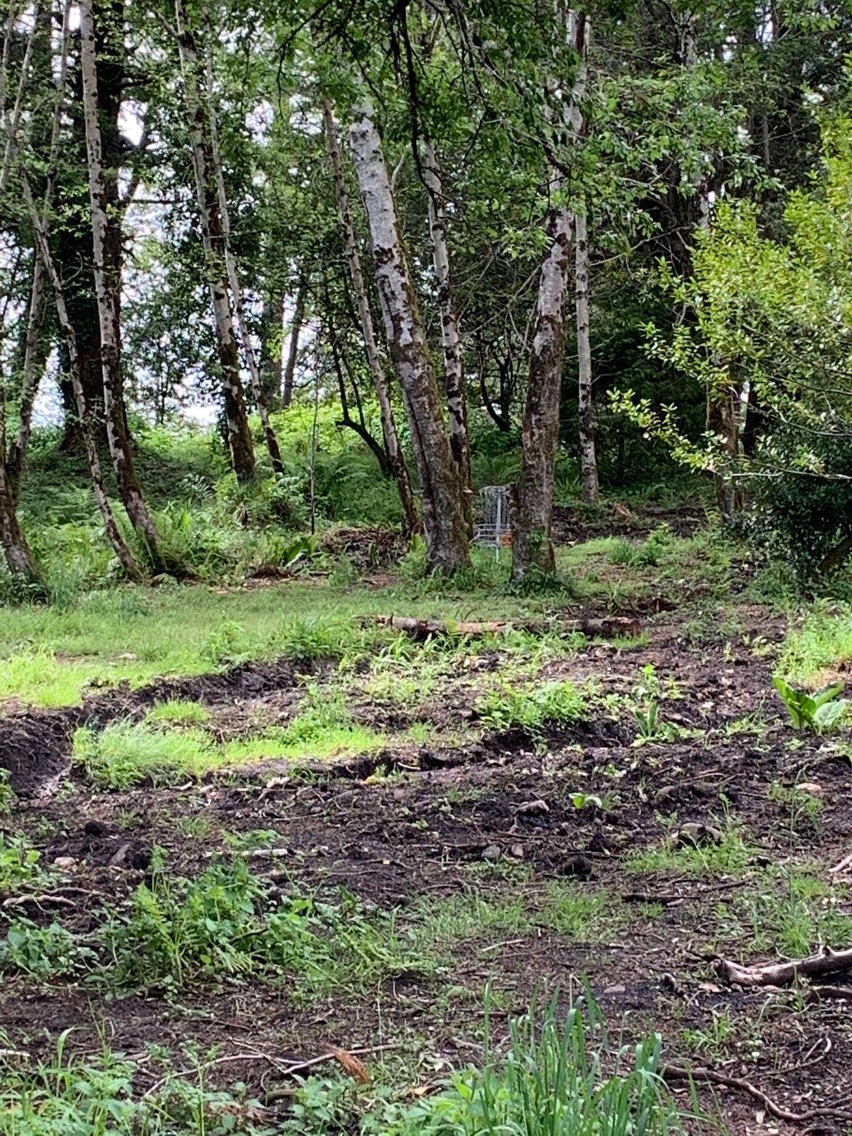 Hole 12