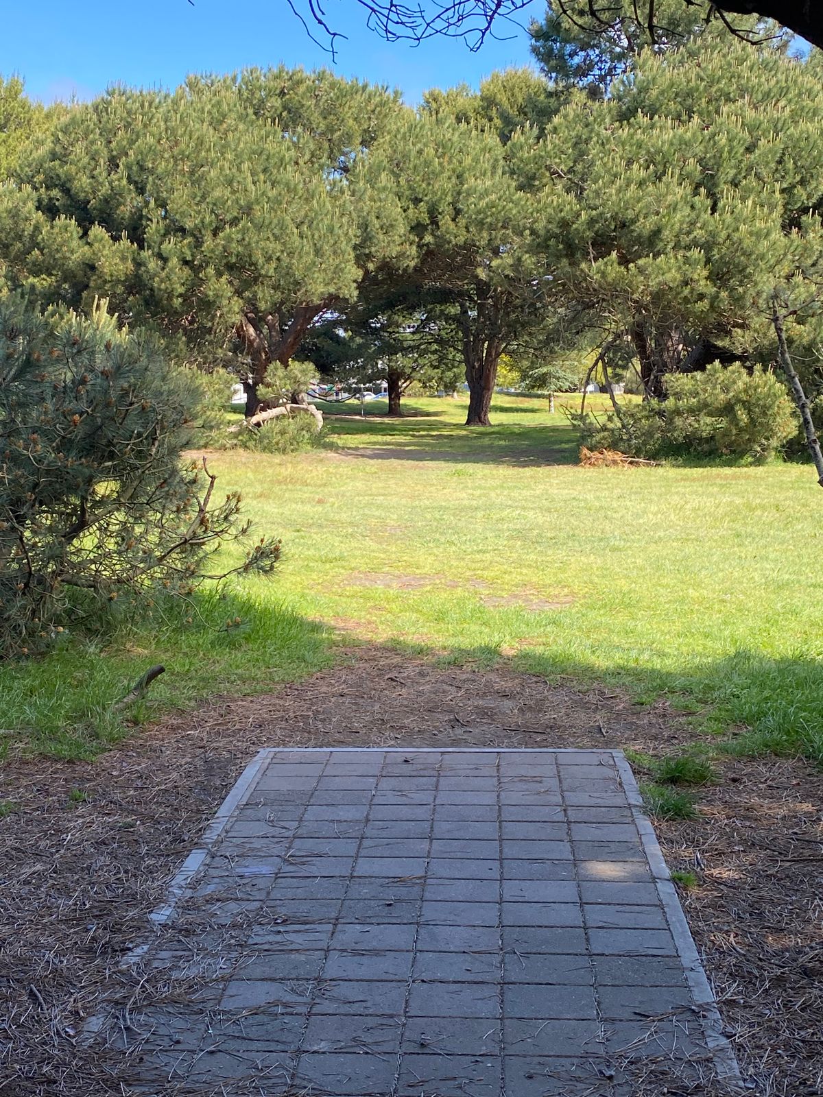 8th tee