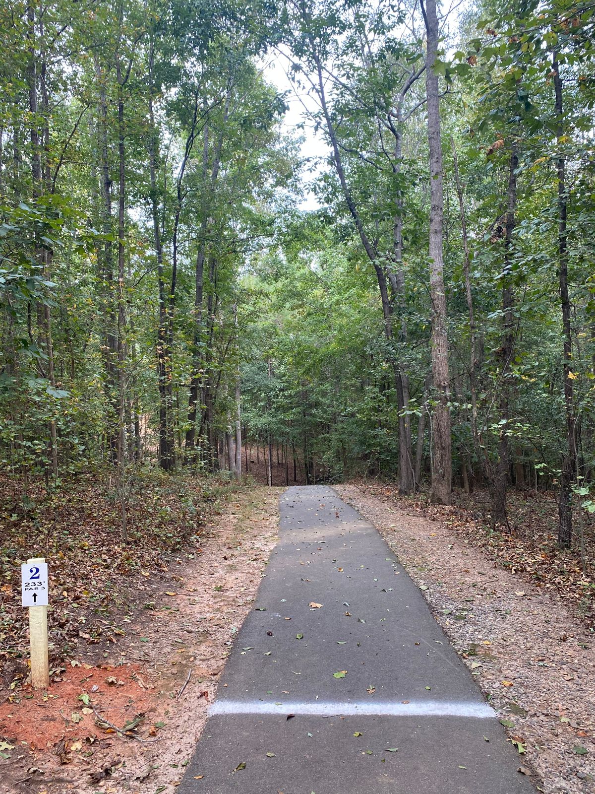 Hole 2 Tee