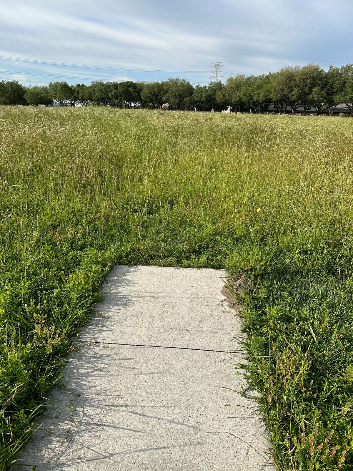 Good luck finding tees and your shots in the “fairway”