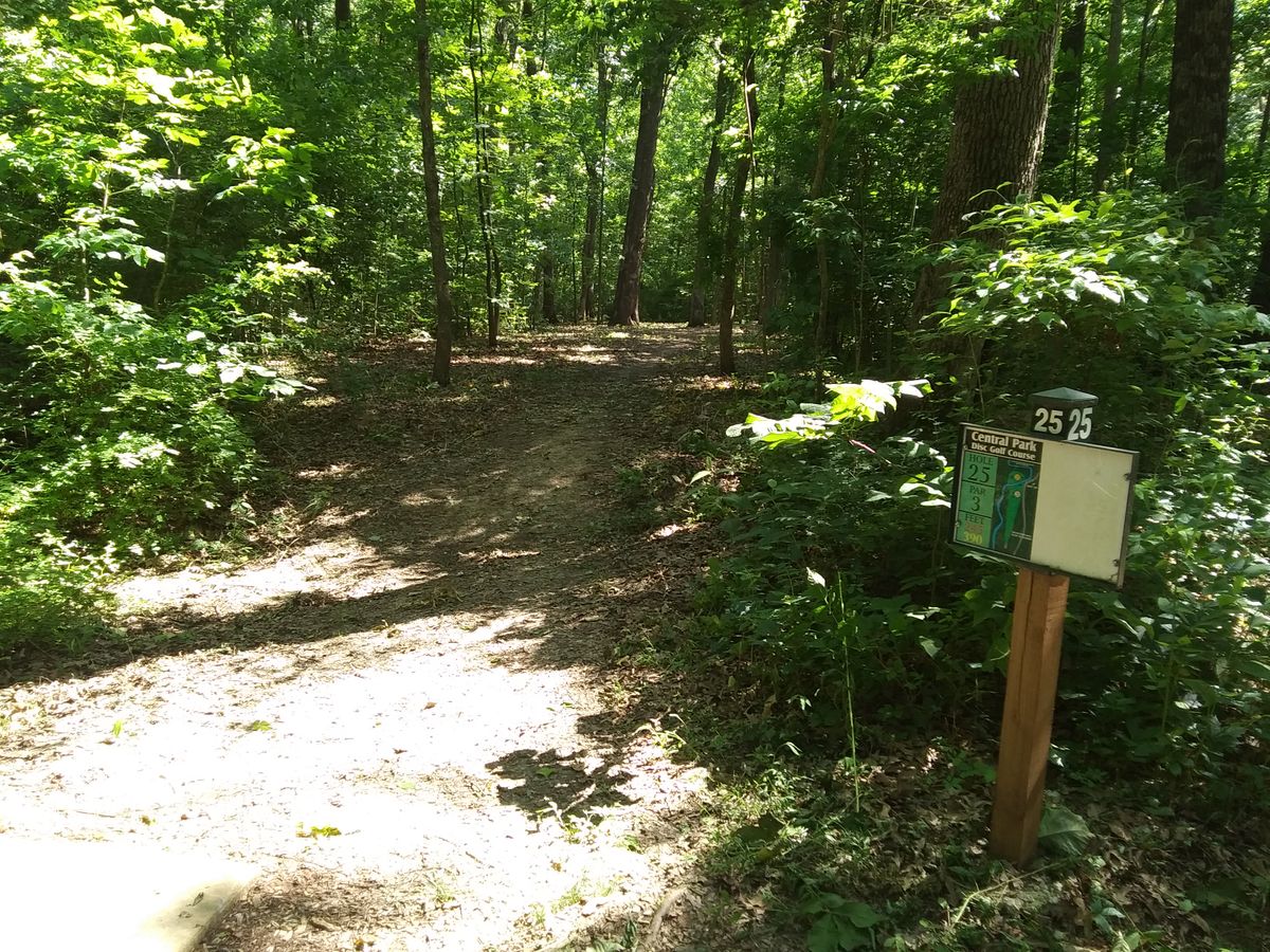 #25 tee shot with a slight bend to the right.