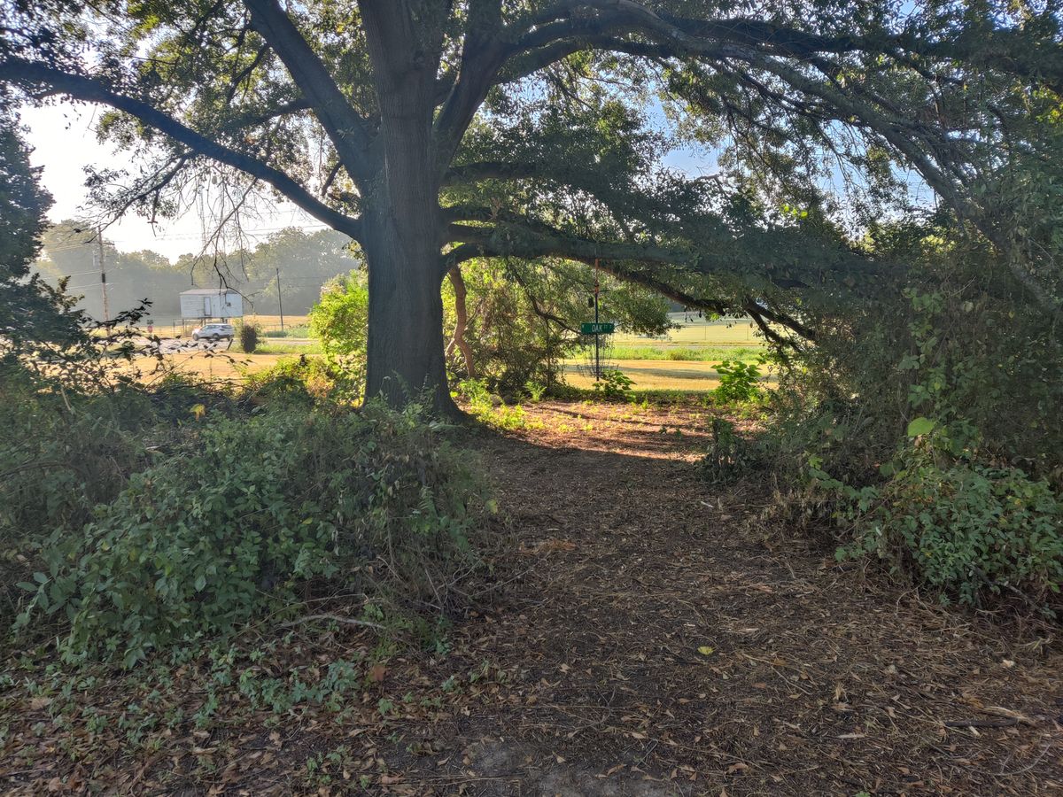 Hole 9