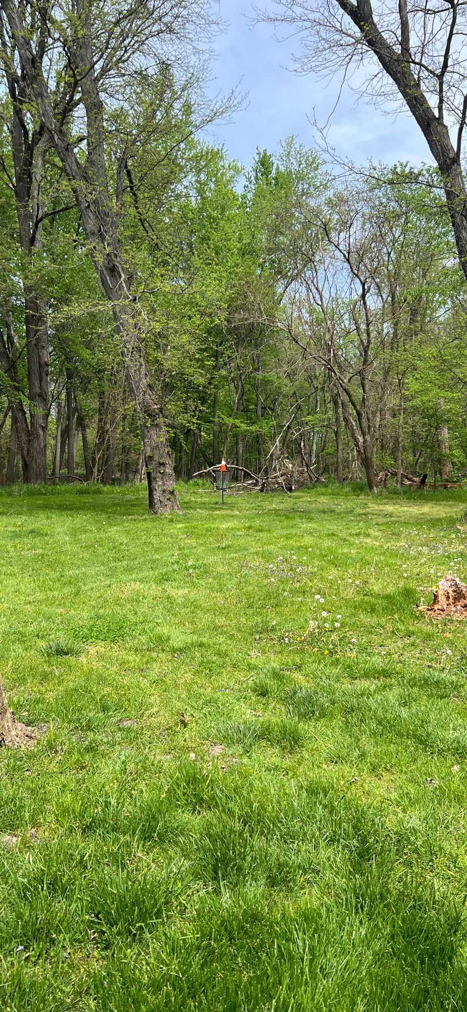 Hole 4