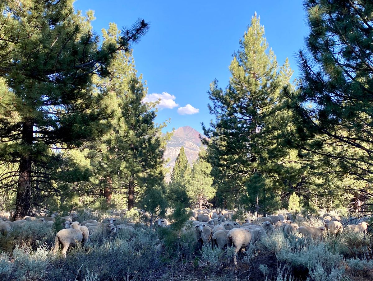 Course maintenance crew hanging out at the only mountain vista.