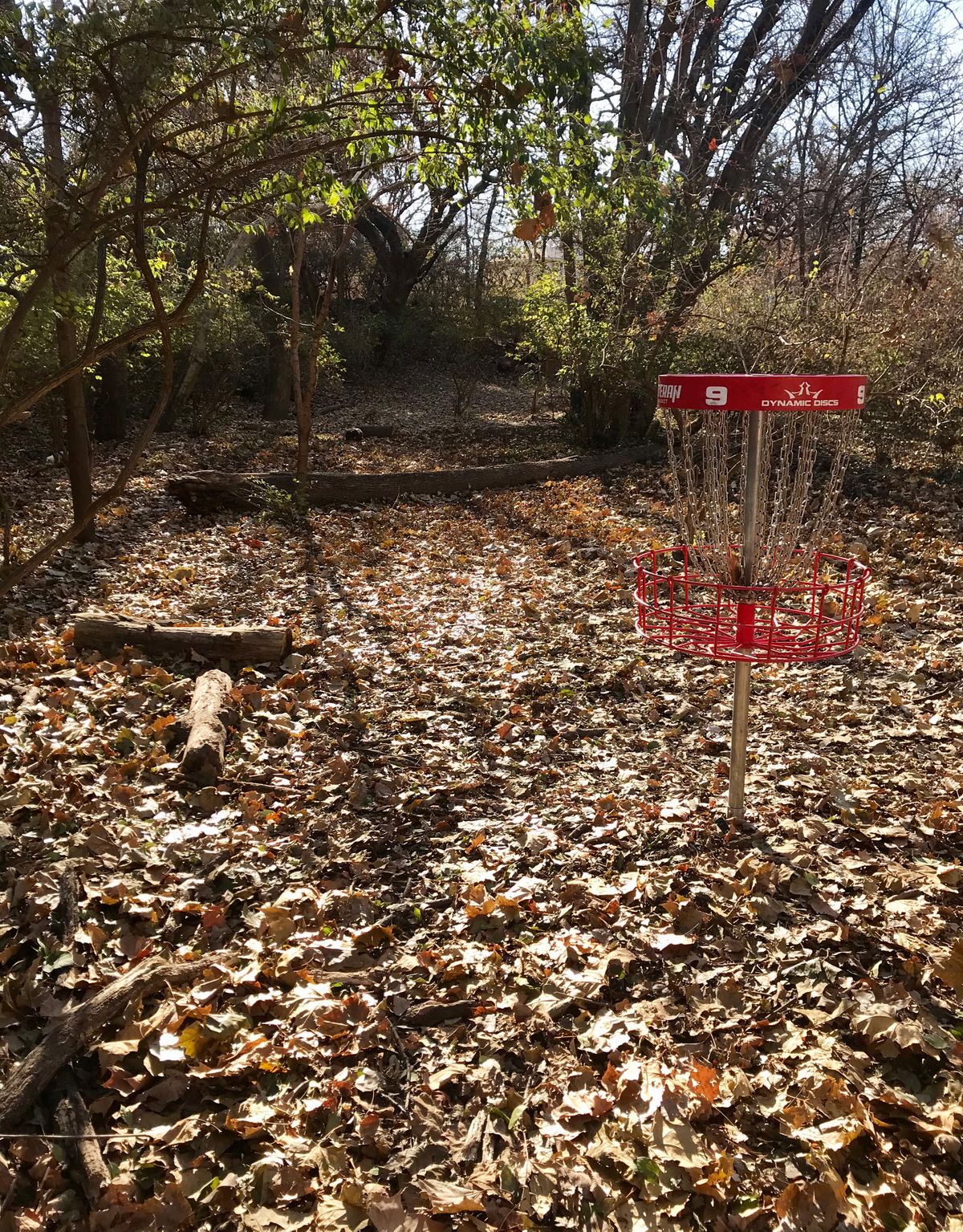Hole 9 Basket to Tee