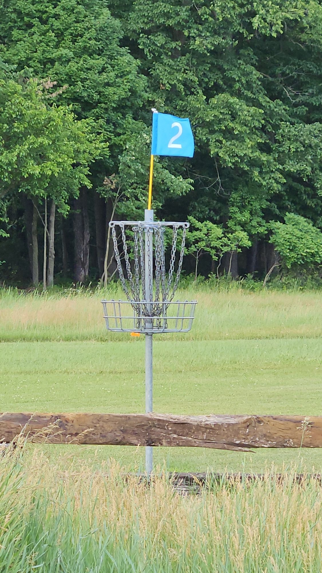 Hole 2 basket