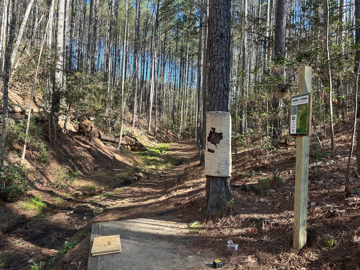 Hole 9 red tee pad