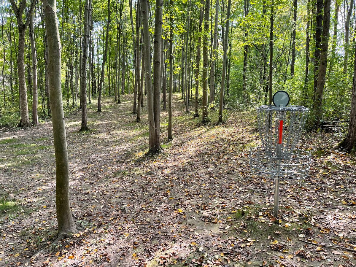 Hole 10 Basket