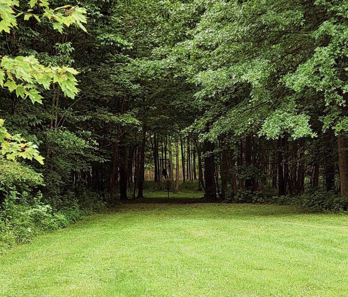 Little hideaway.  Hole 16 A pin