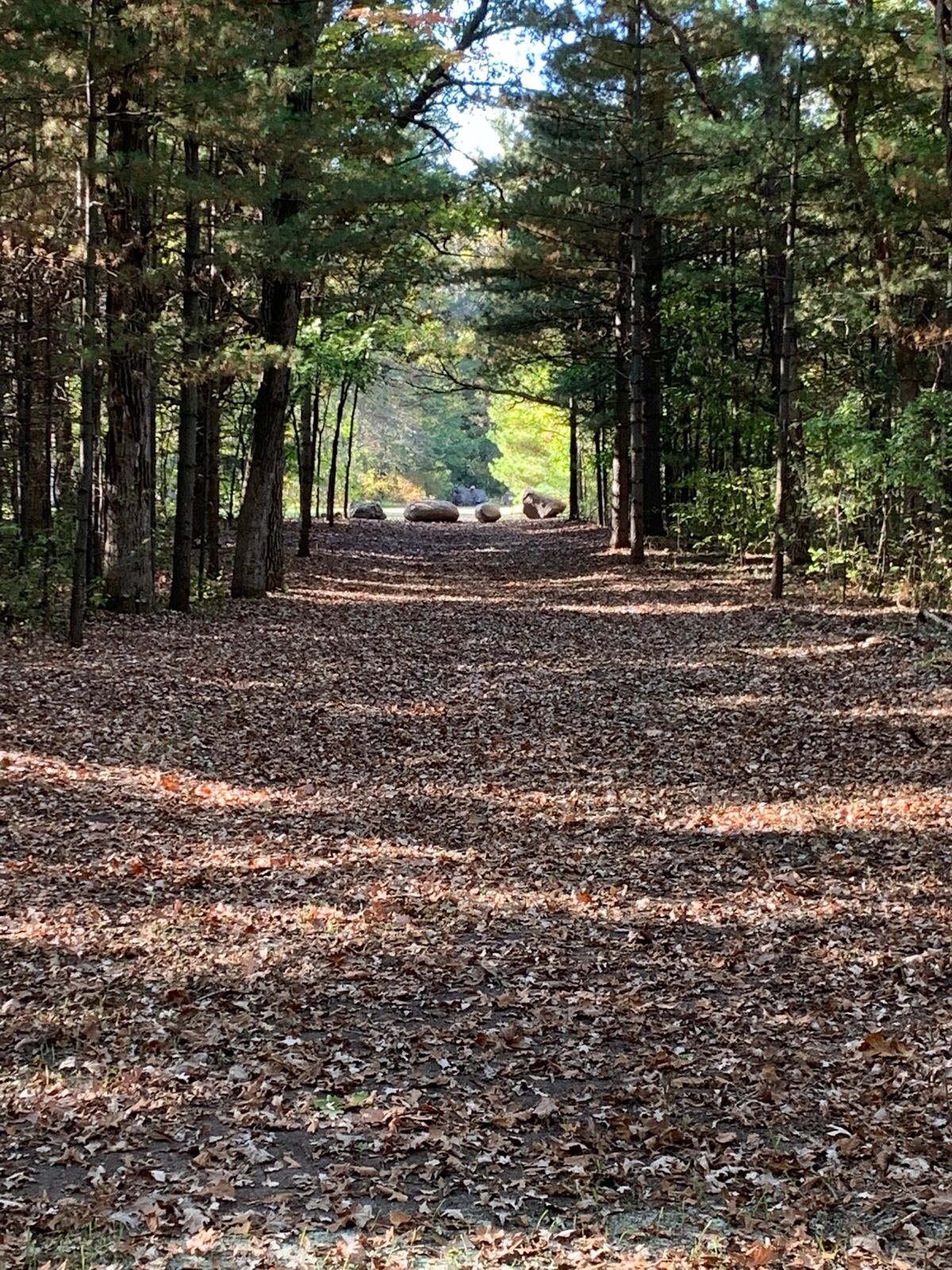 Hole 9’s beautiful fairway. 245’ to get out and the basket is 125’ to the left.