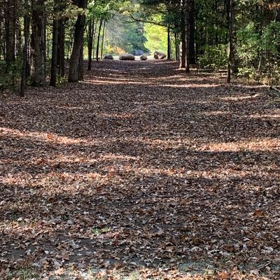 Hole 9’s beautiful fairway. 245’ to get out and the basket is 125’ to the left.