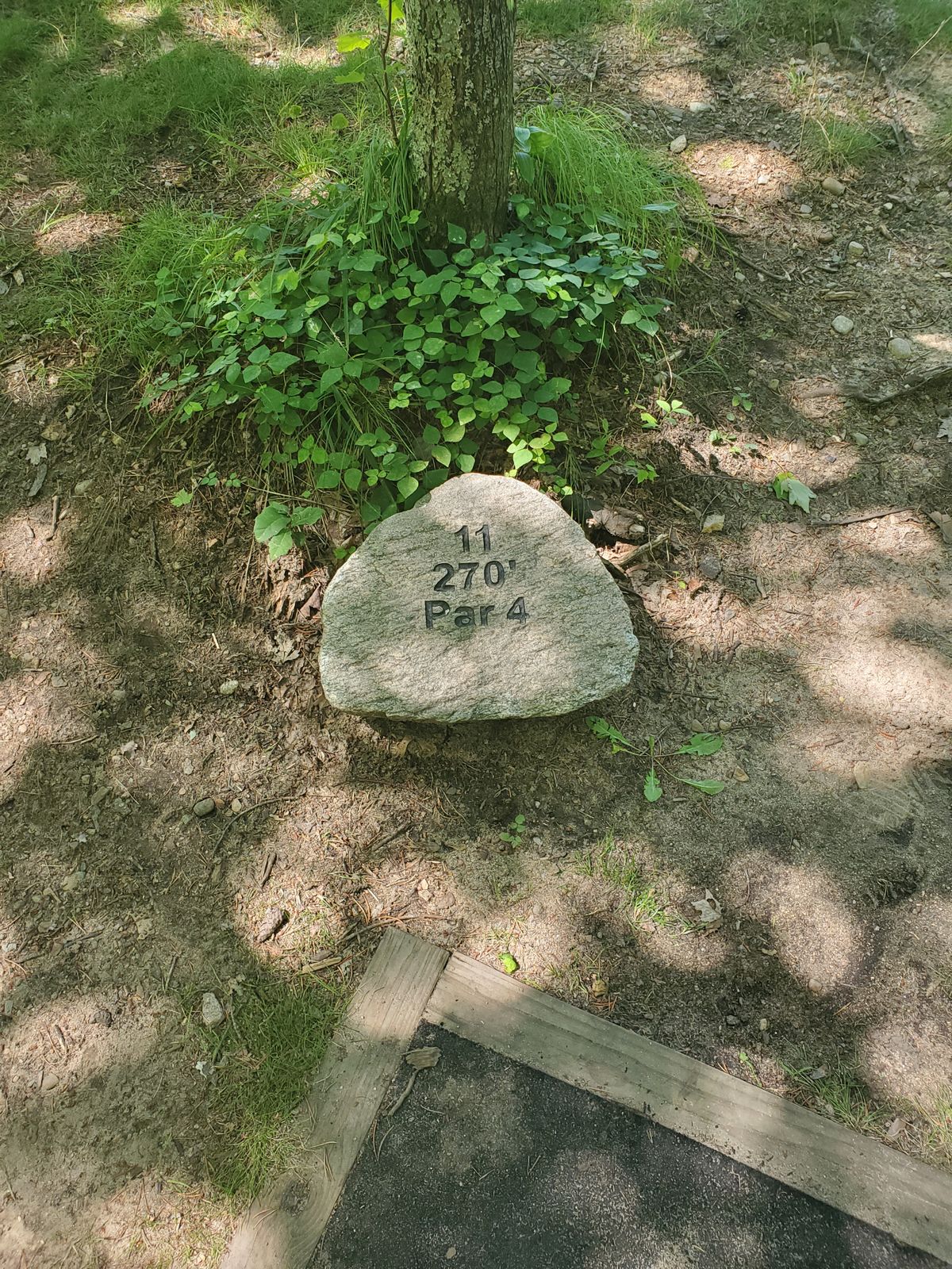Hole 11