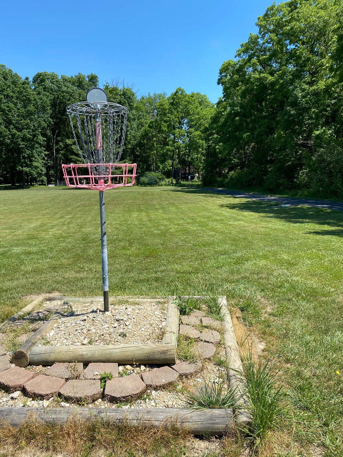 Hole 10 (Reverse)