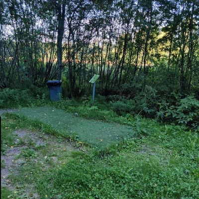 Väylän 14 tii