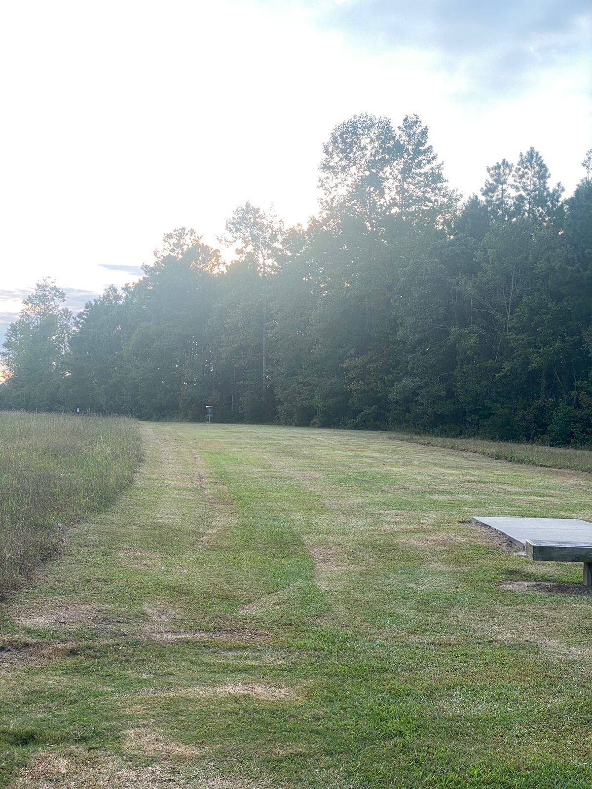 Hole 3 whites.