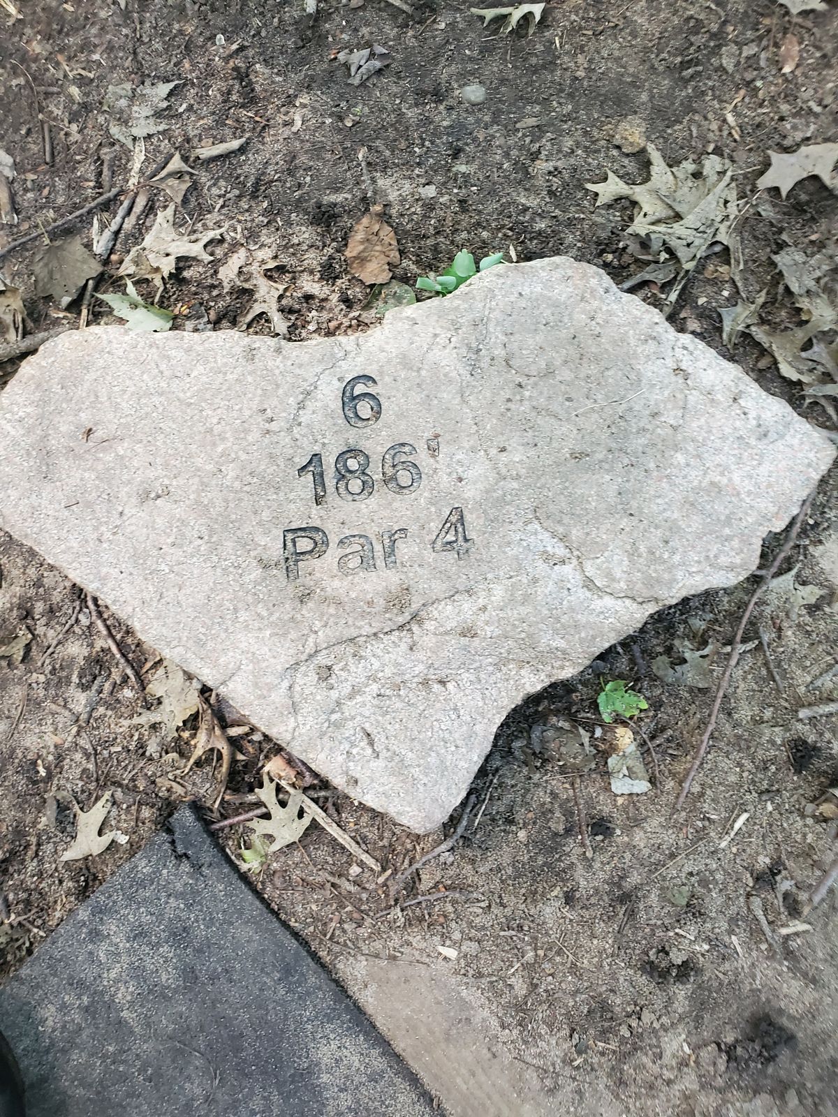 Hole 6