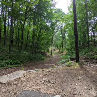 Standing Rocks Stevens Point Wi Standing Rocks - Stevens Point, WI | UDisc Disc Golf Course Directory