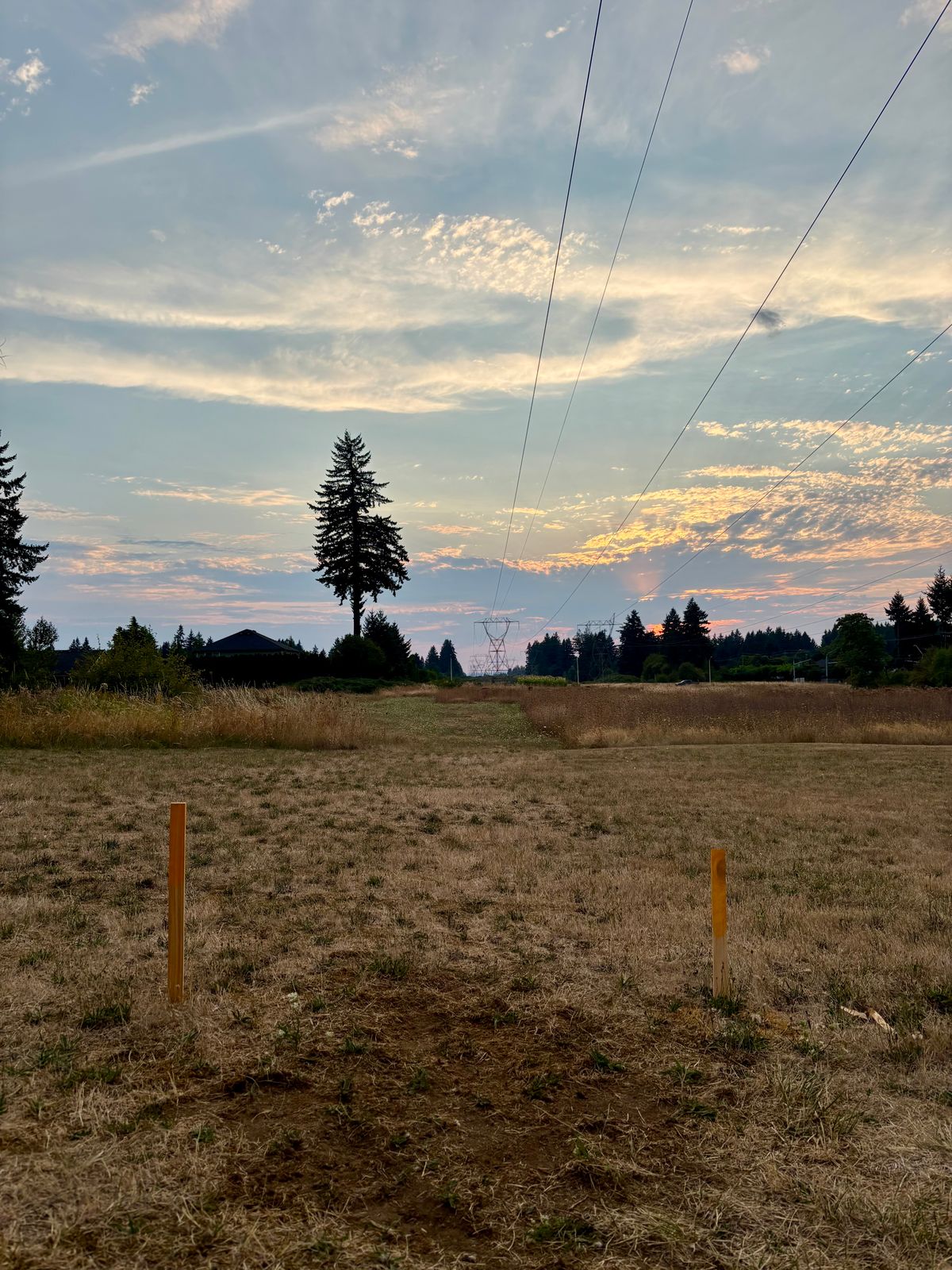 Hole 1 From Tee